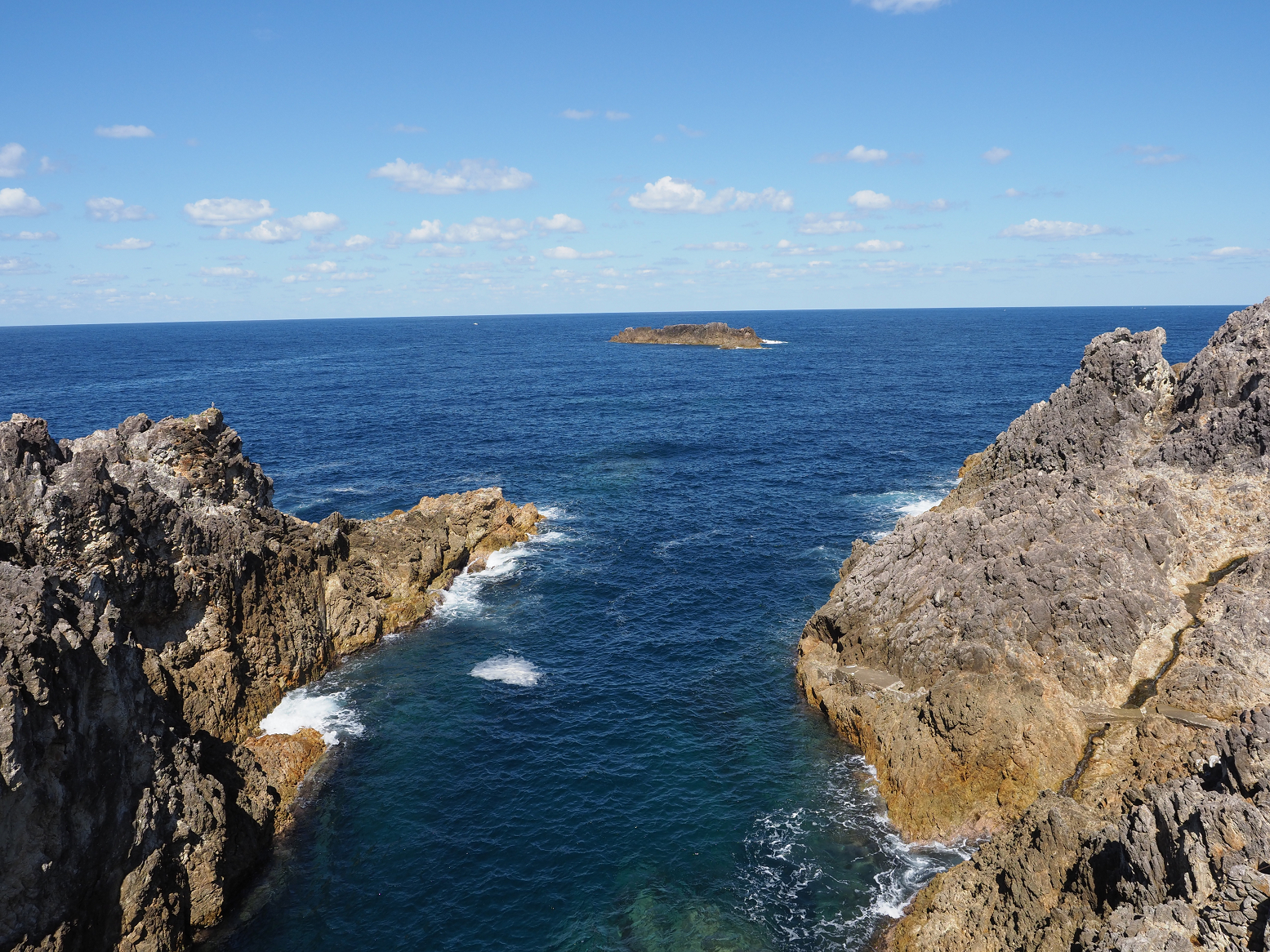 P9191588.jpg