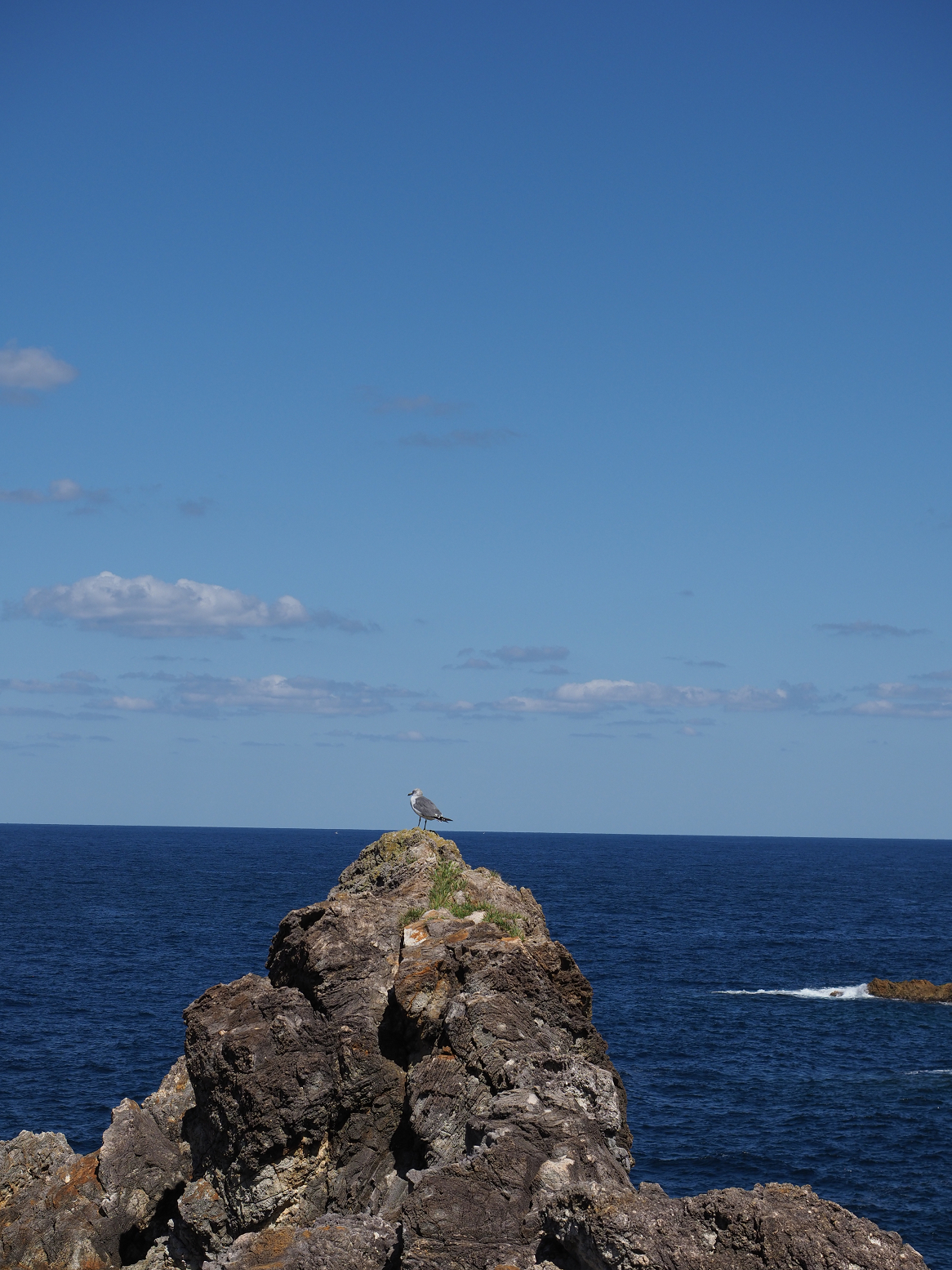 P9191592.jpg