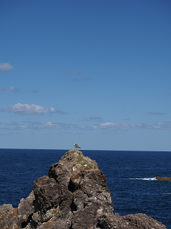 P9191592_thumb.png