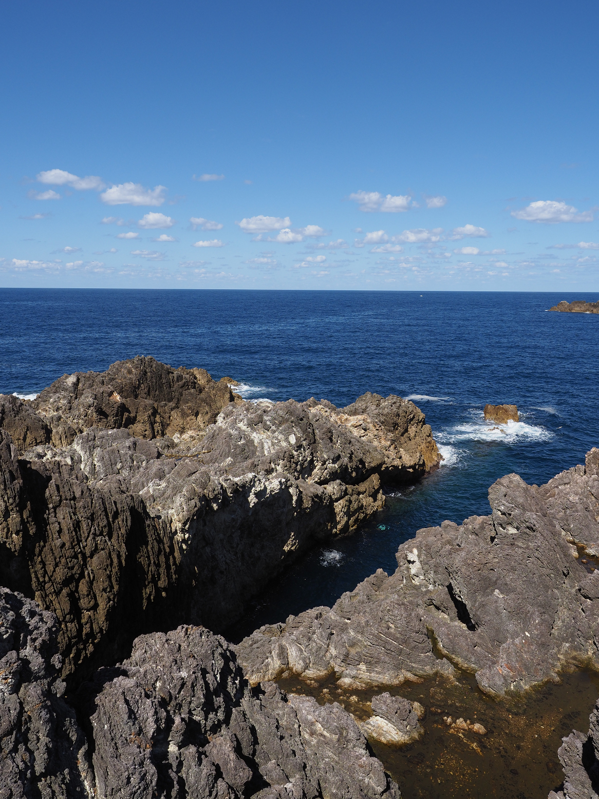 P9191594.jpg