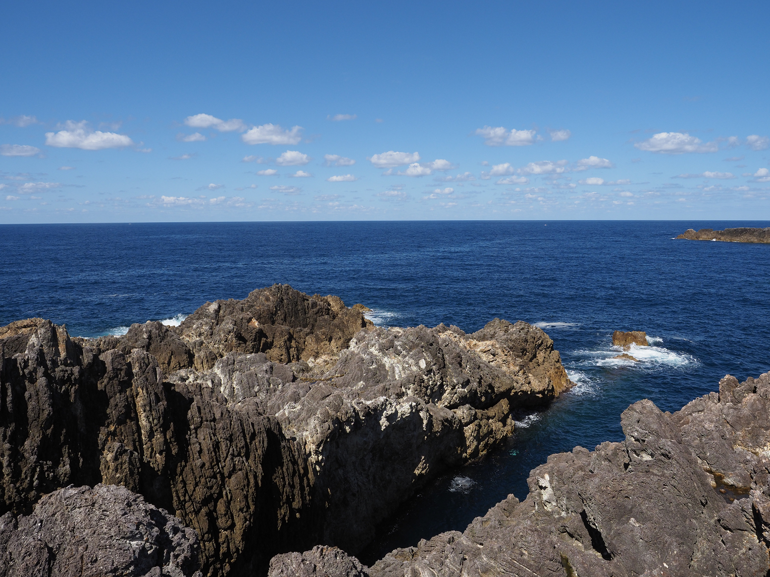 P9191595.jpg