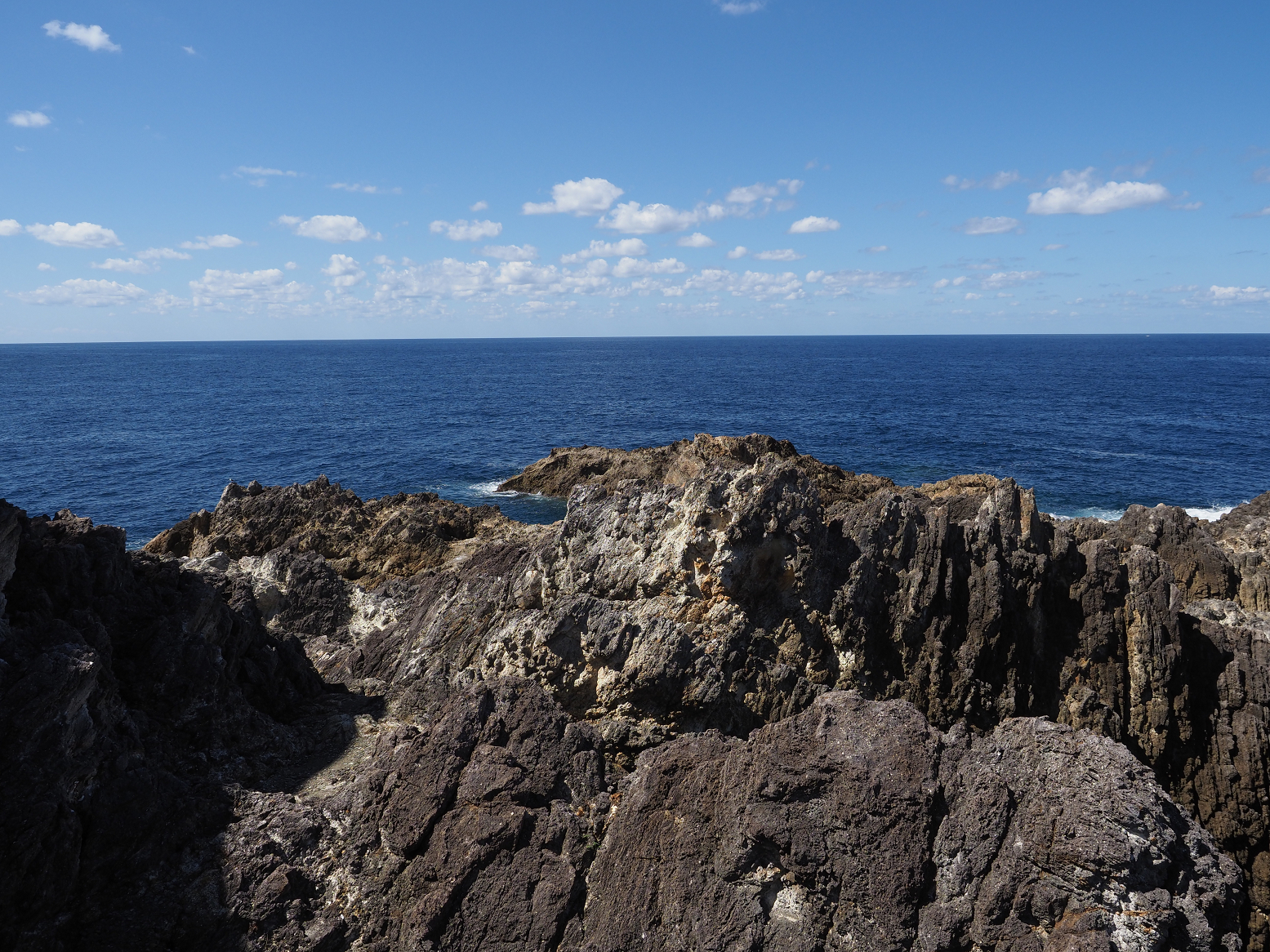 P9191596.jpg
