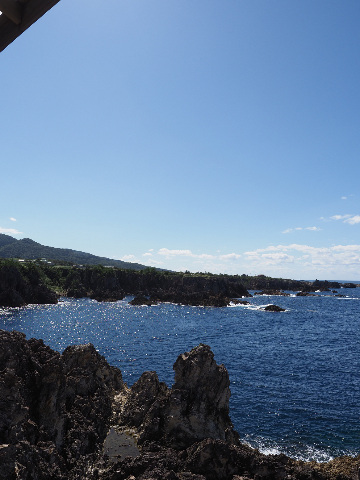 P9191606.jpg