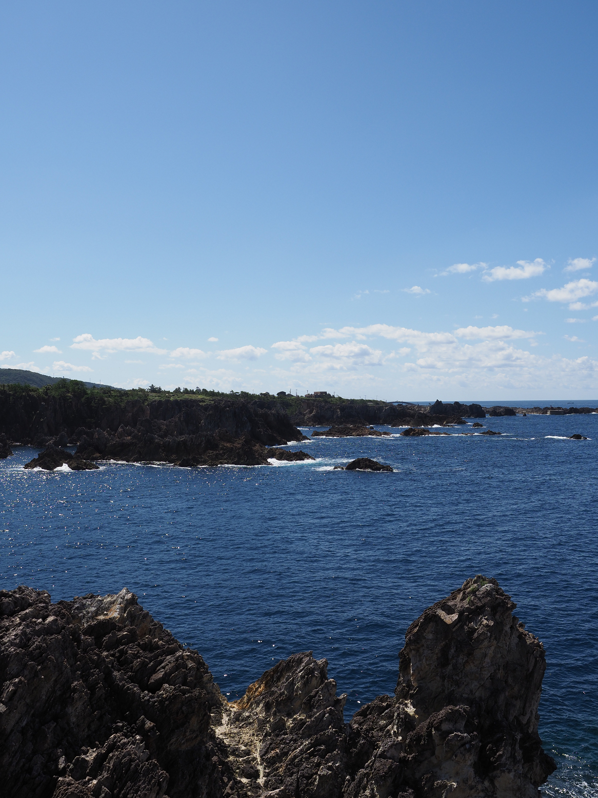 P9191613.jpg