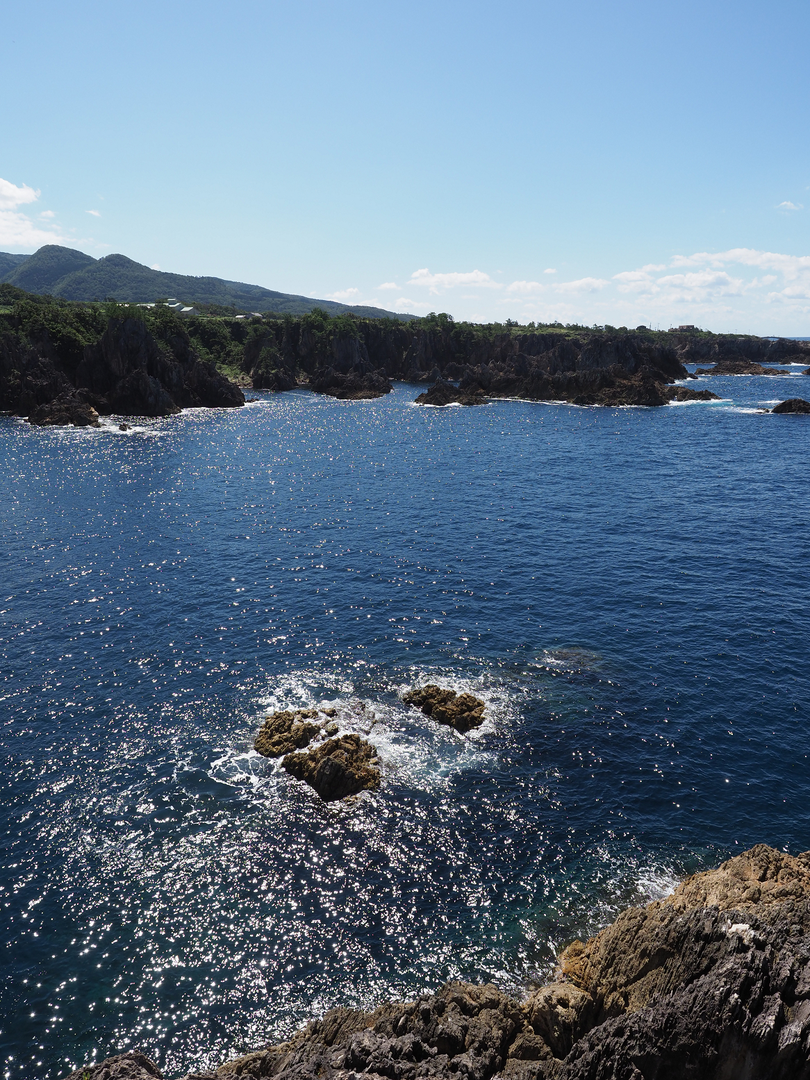 P9191615.jpg