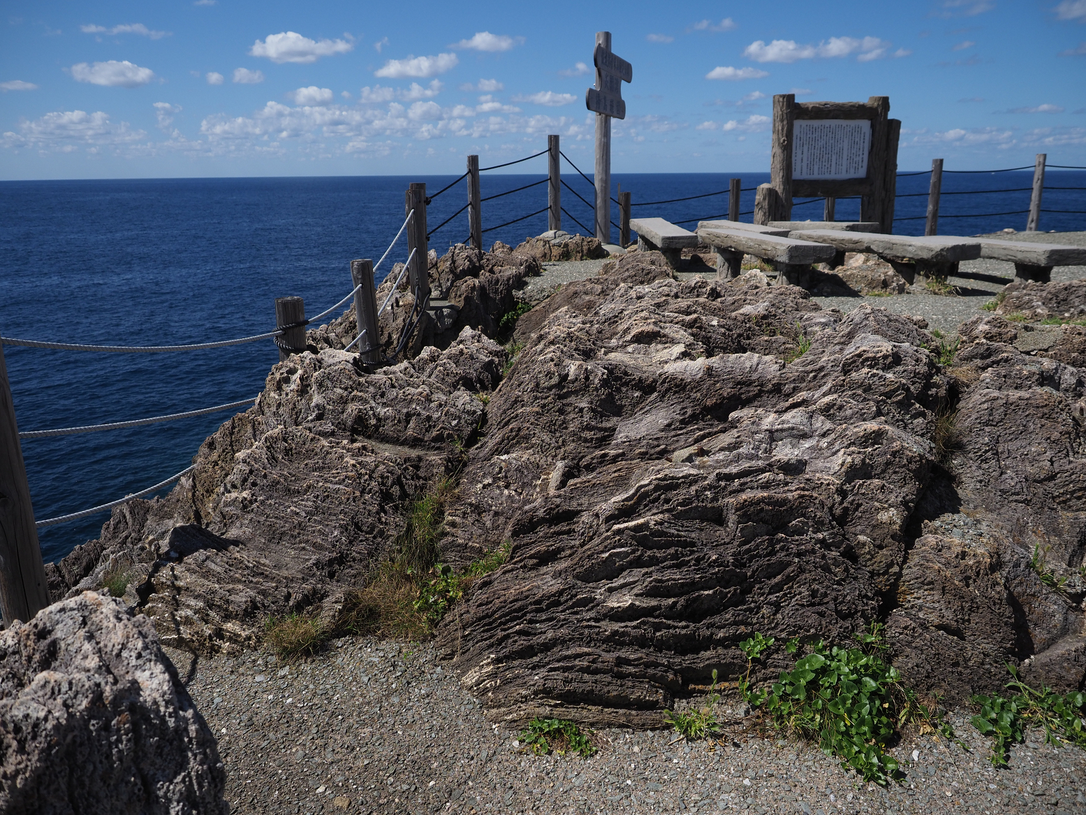 P9191632.jpg