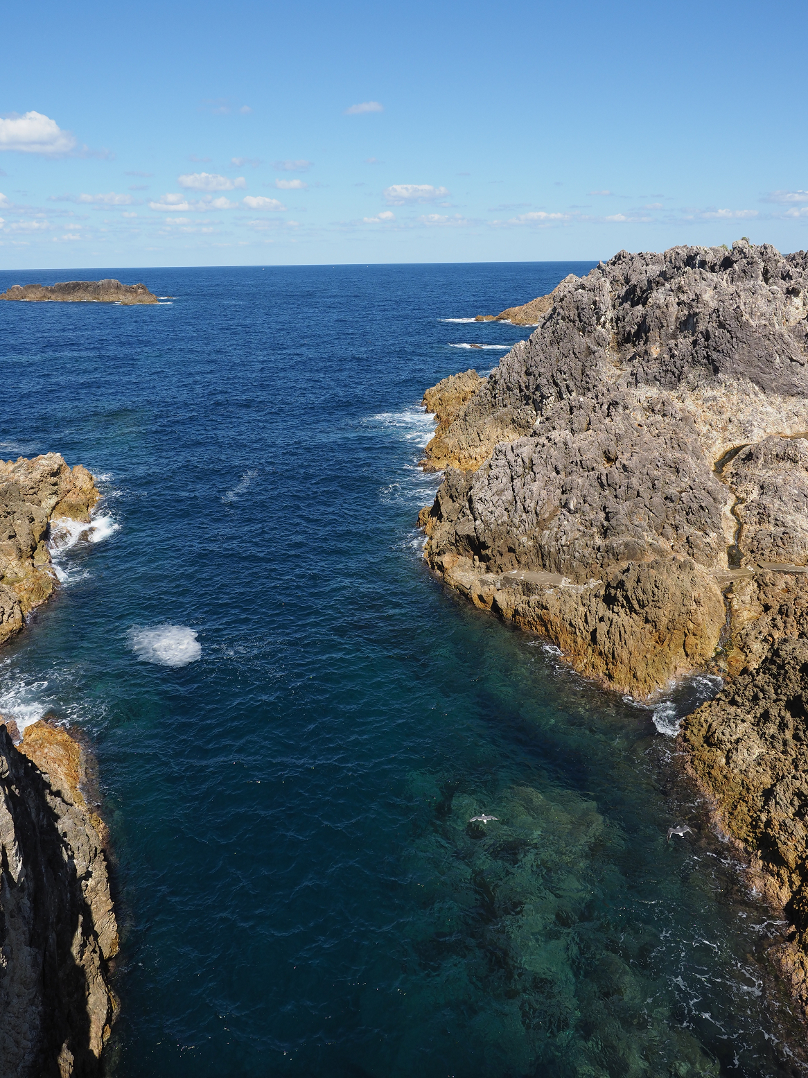 P9191641.jpg
