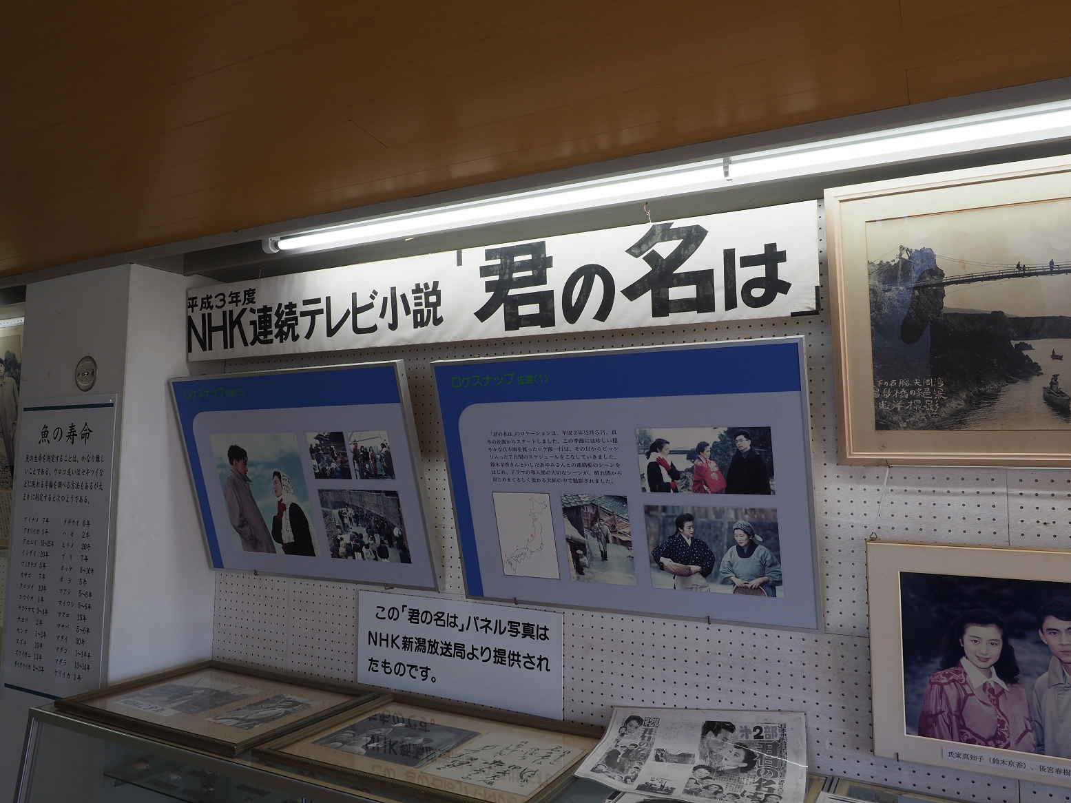 P9191652.jpg