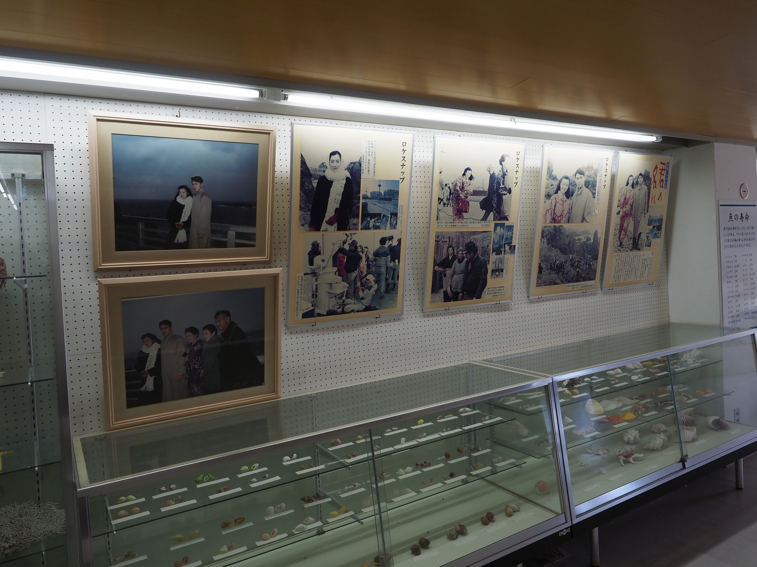 P9191656.jpg