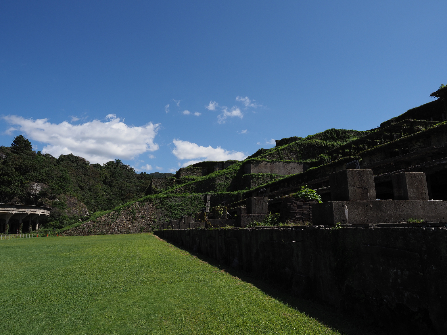 P9191686.jpg