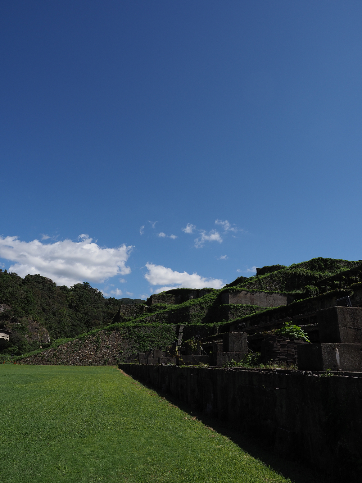 P9191687.jpg