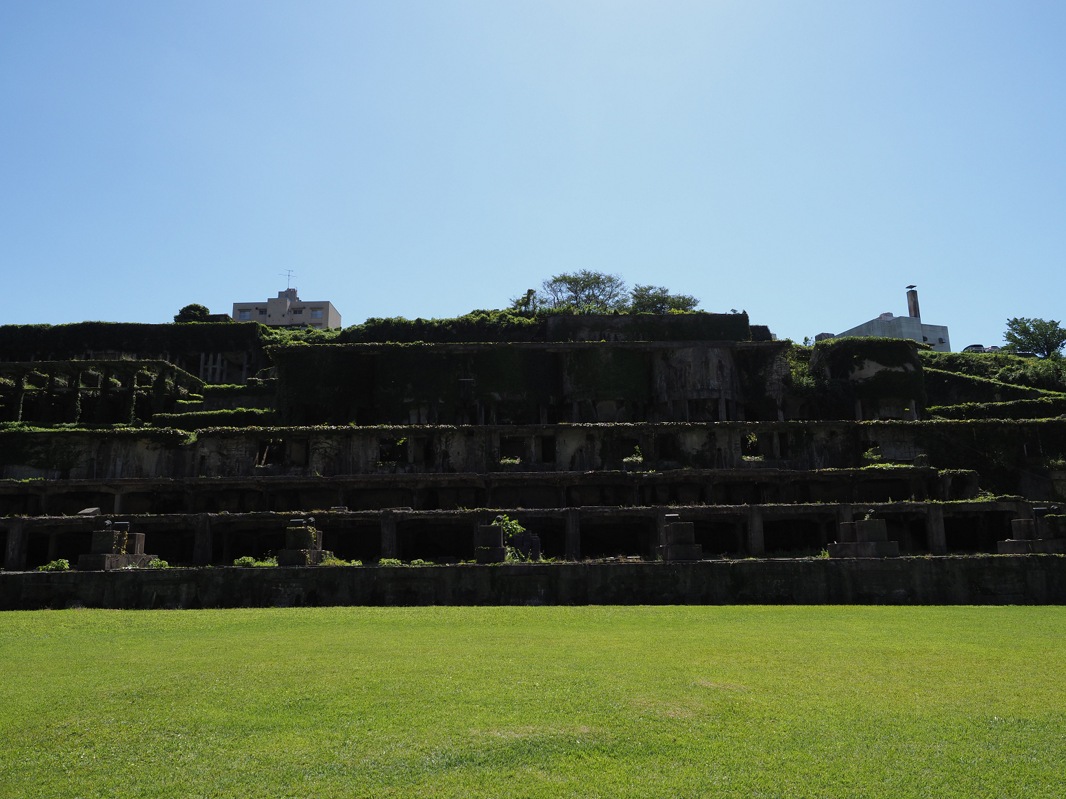 P9191688.jpg