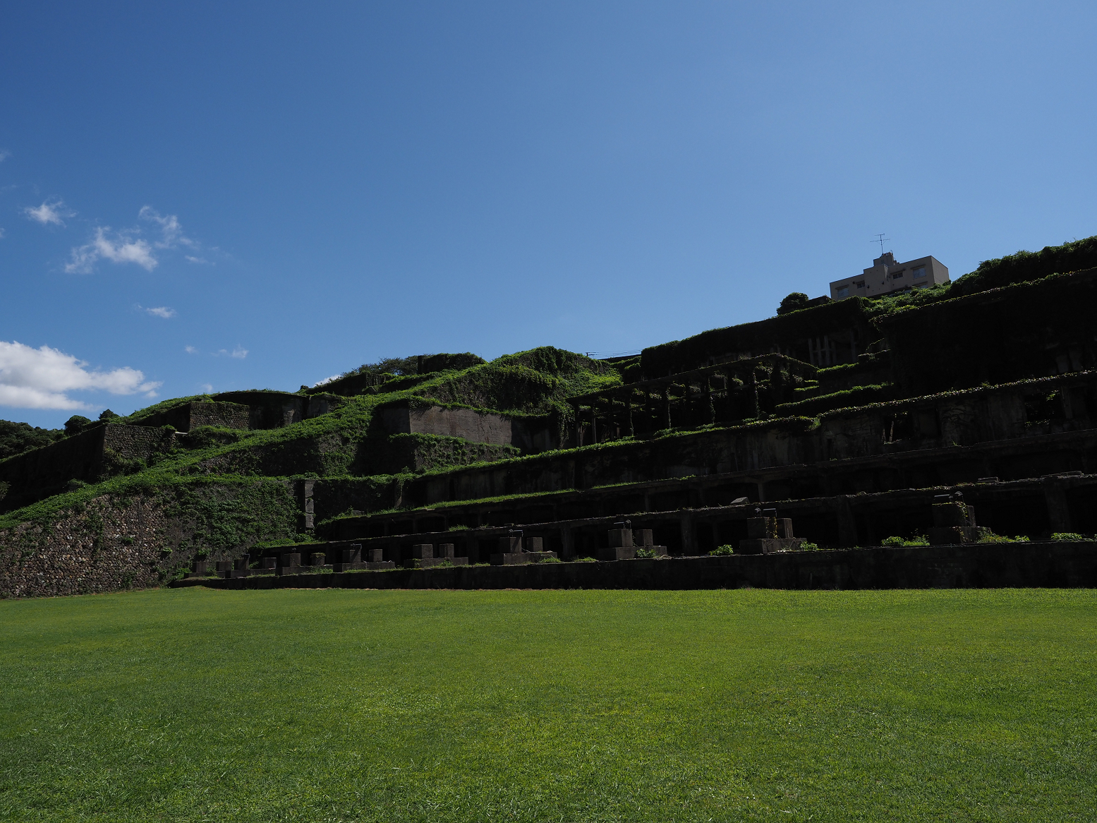 P9191690.jpg