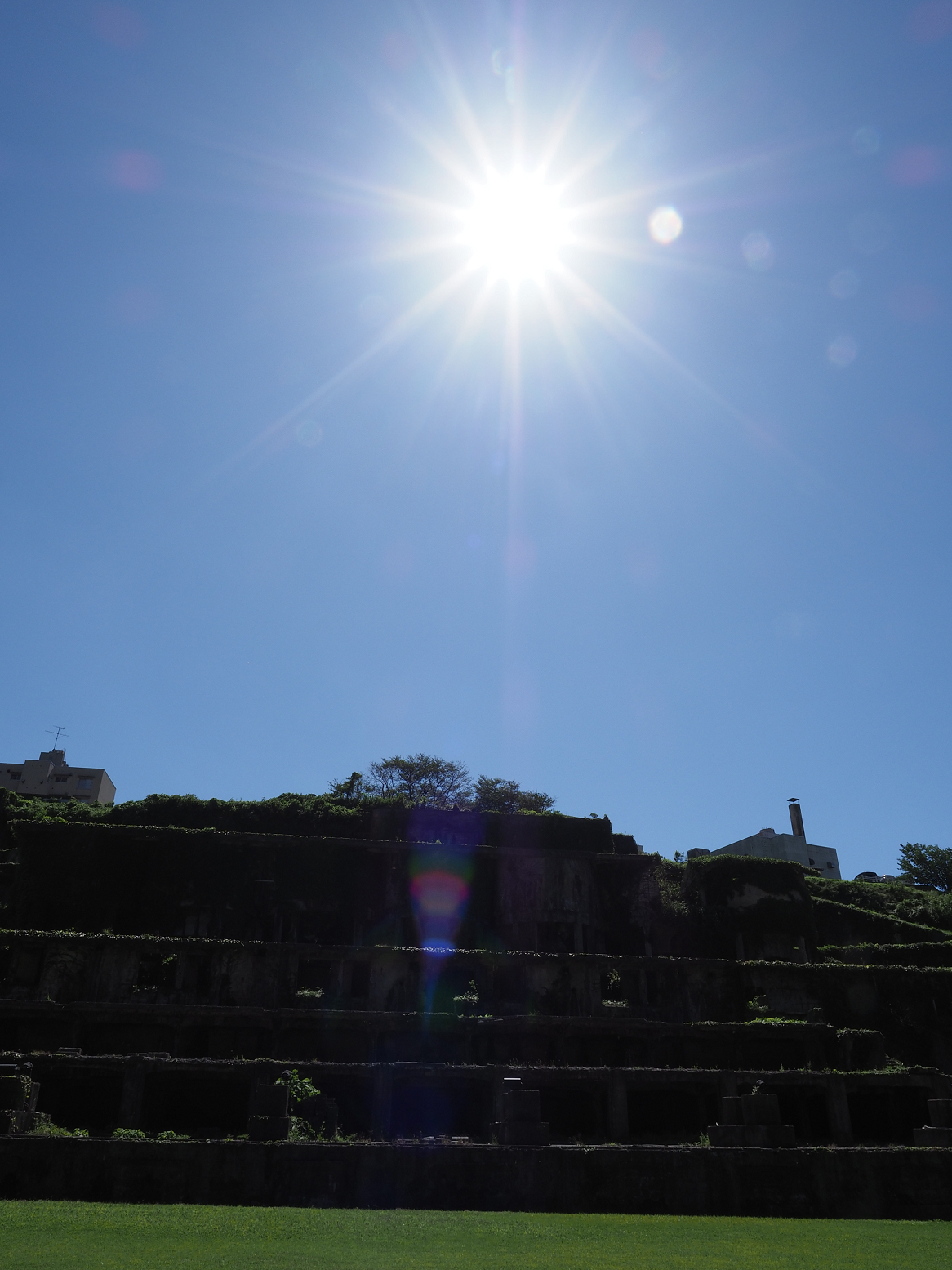 P9191697.jpg