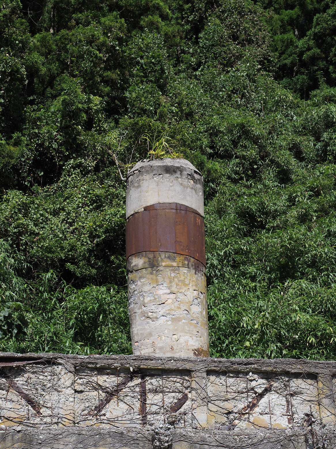 P9191704.jpg
