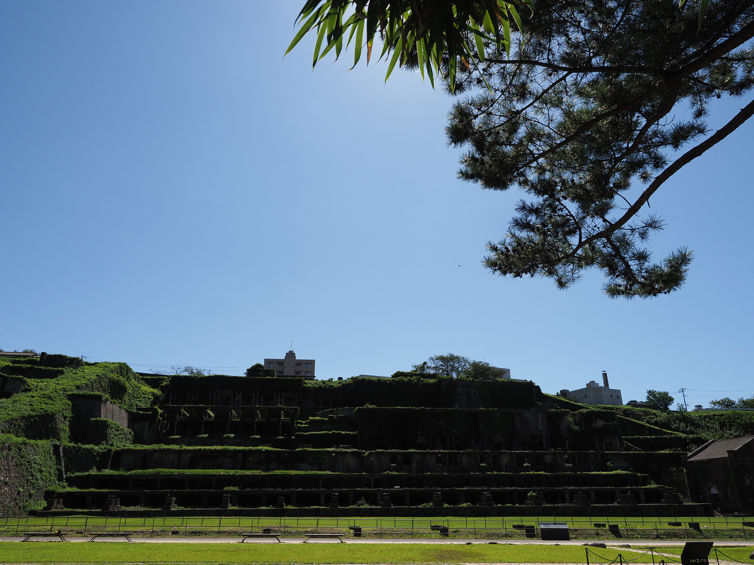 P9191710.jpg