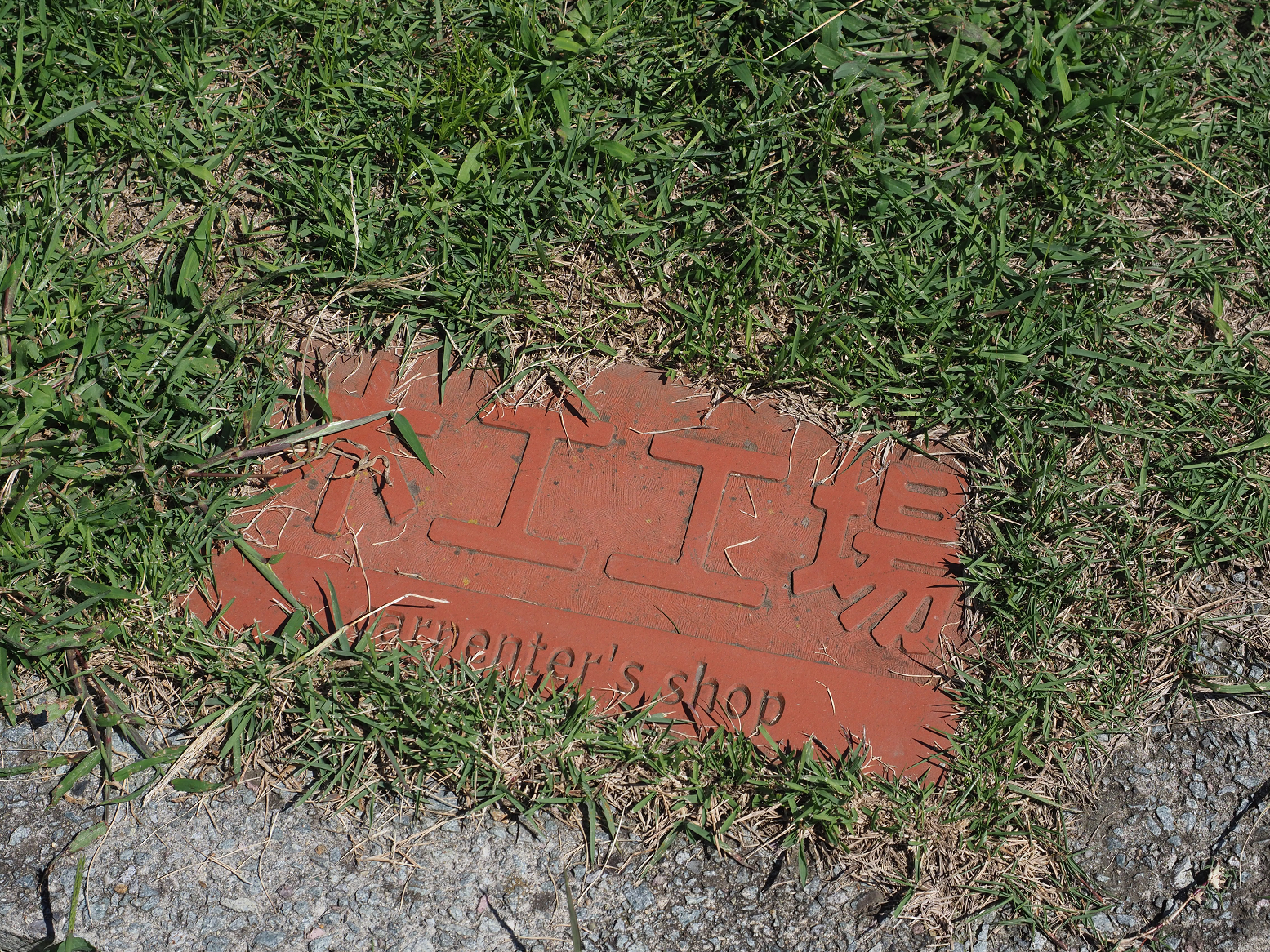P9191714.jpg