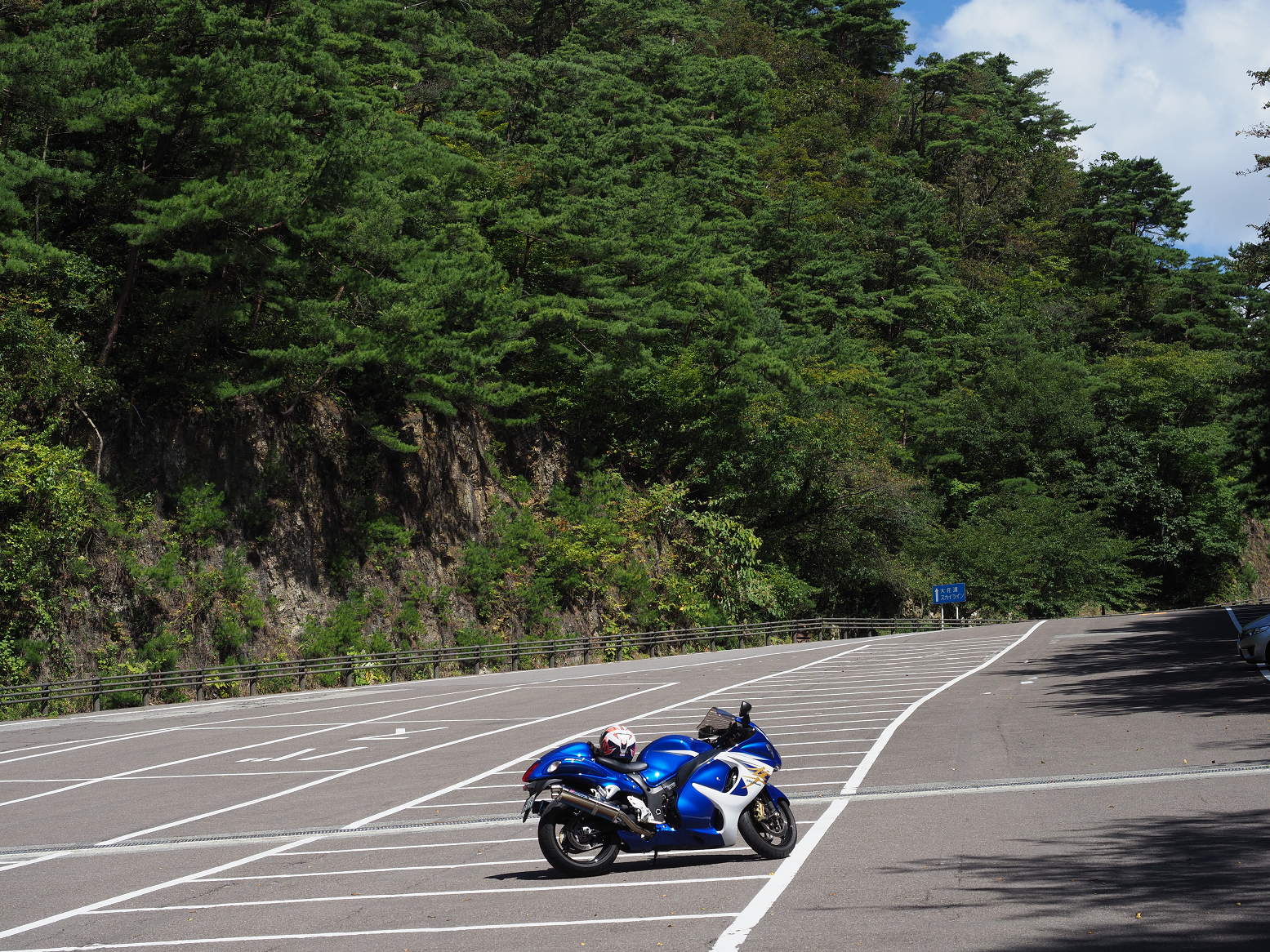 P9191741.jpg