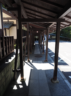 P9191742_thumb.png