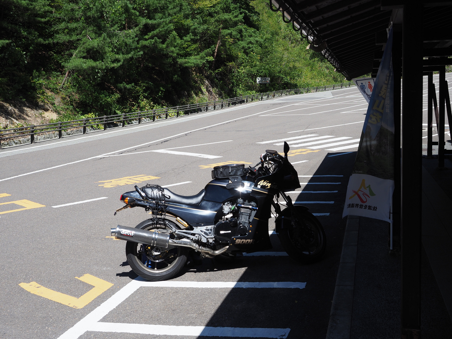 P9191743.jpg