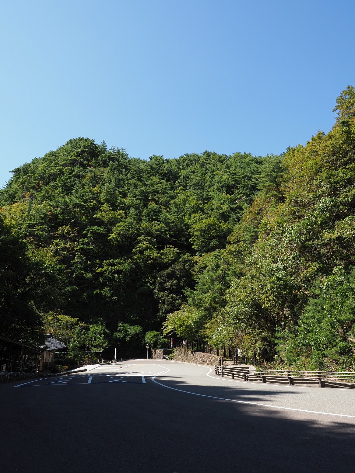 P9191744.jpg
