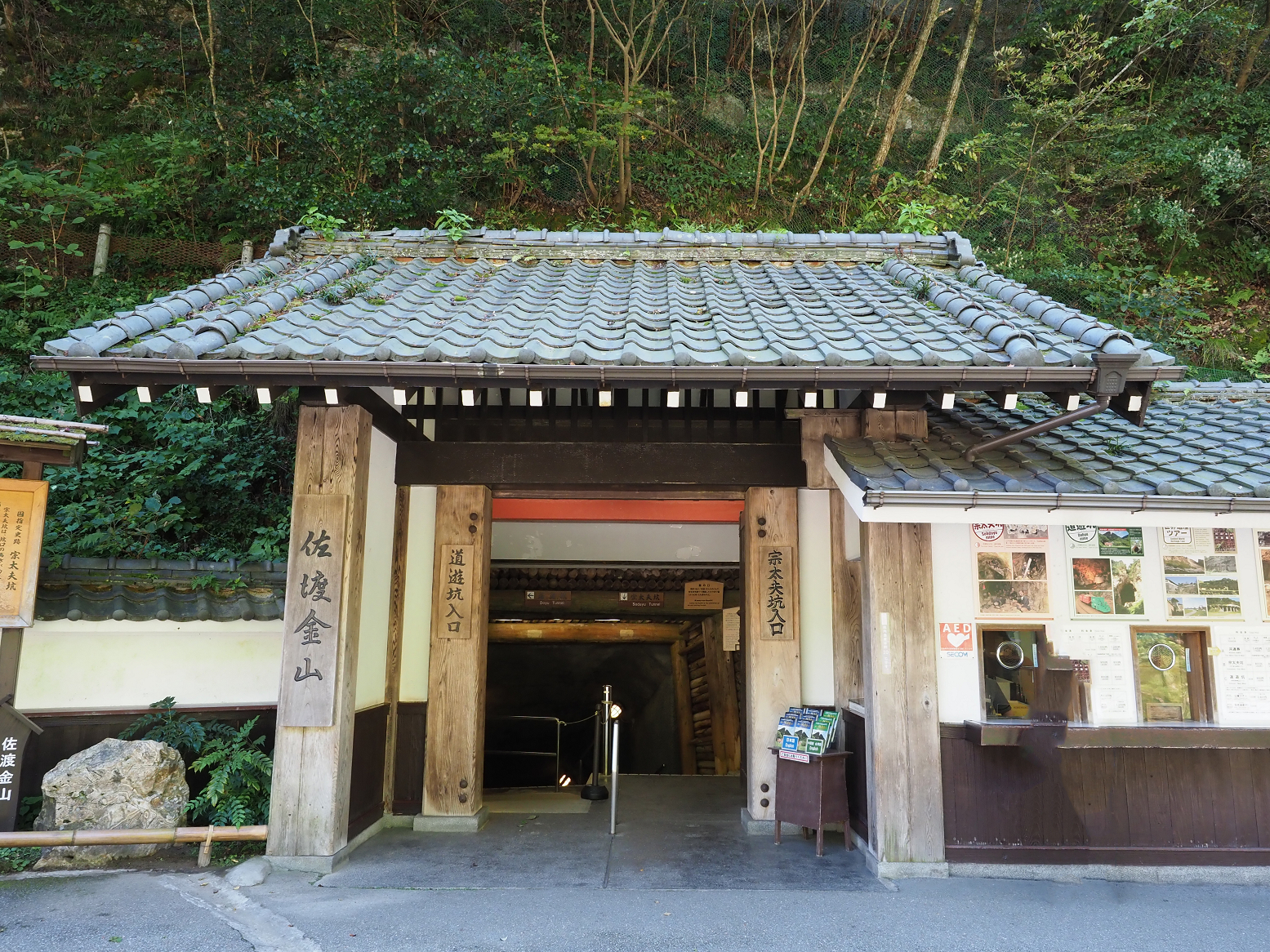 P9191747.jpg