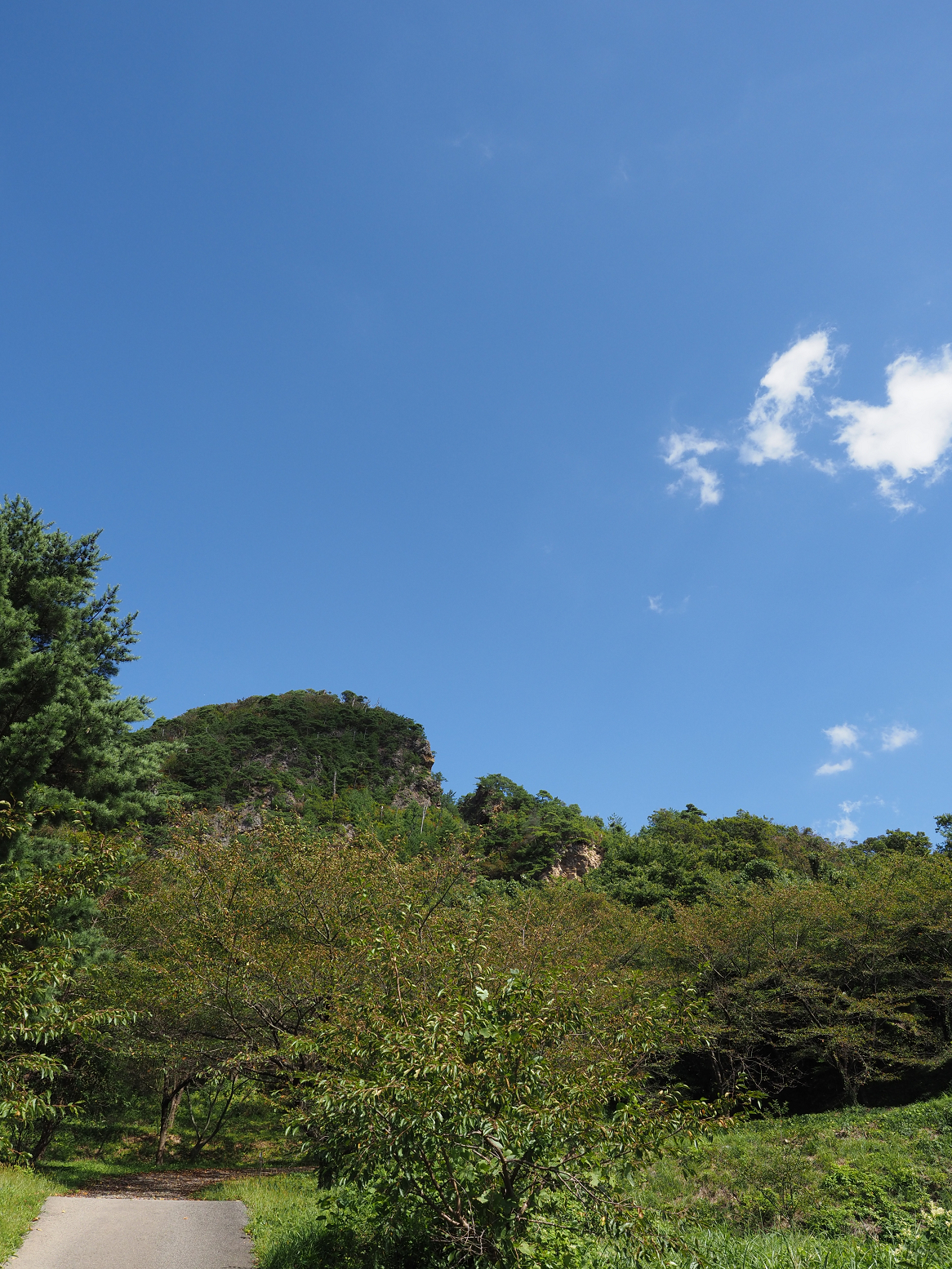 P9191846.jpg