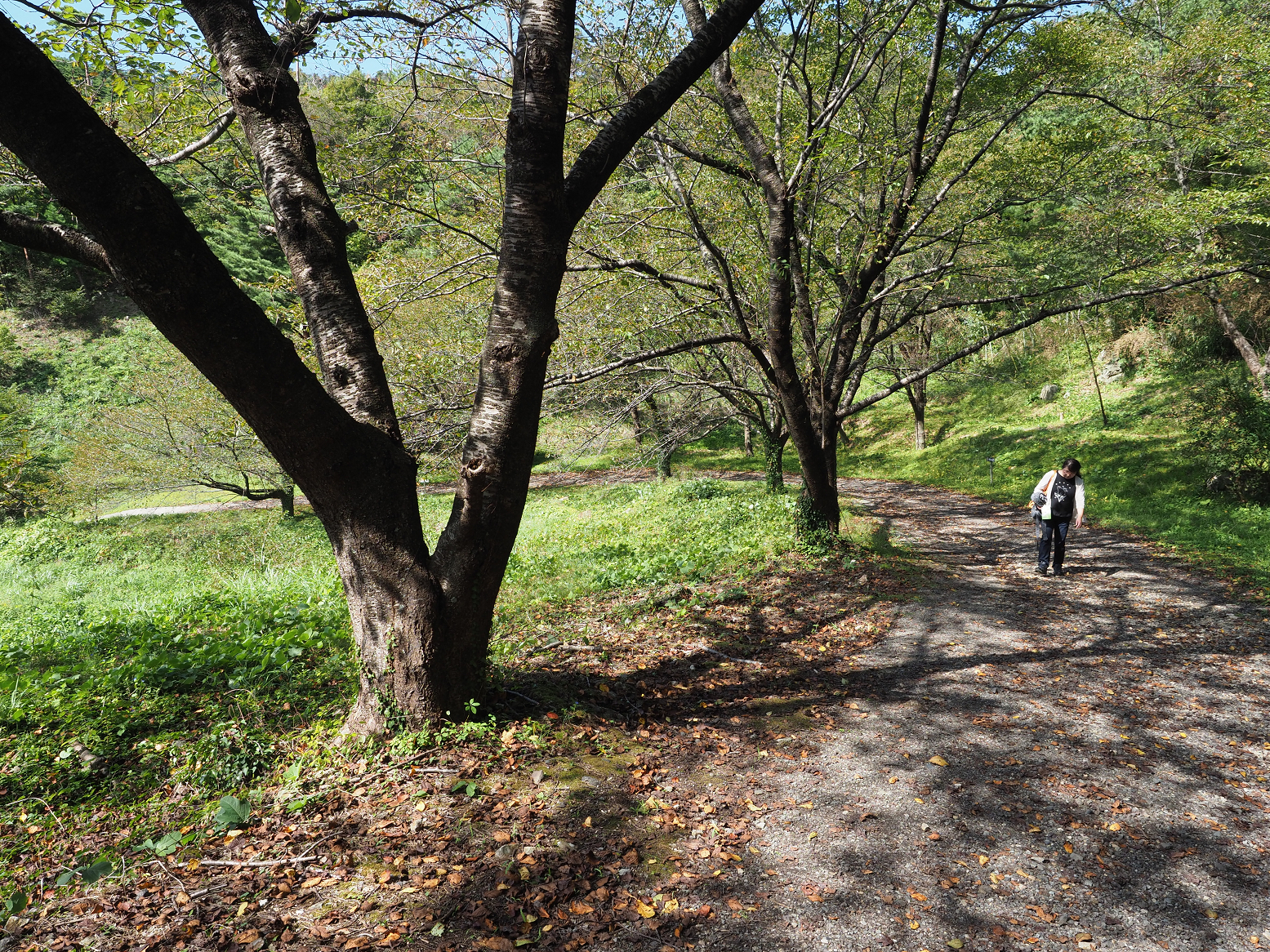 P9191848.jpg
