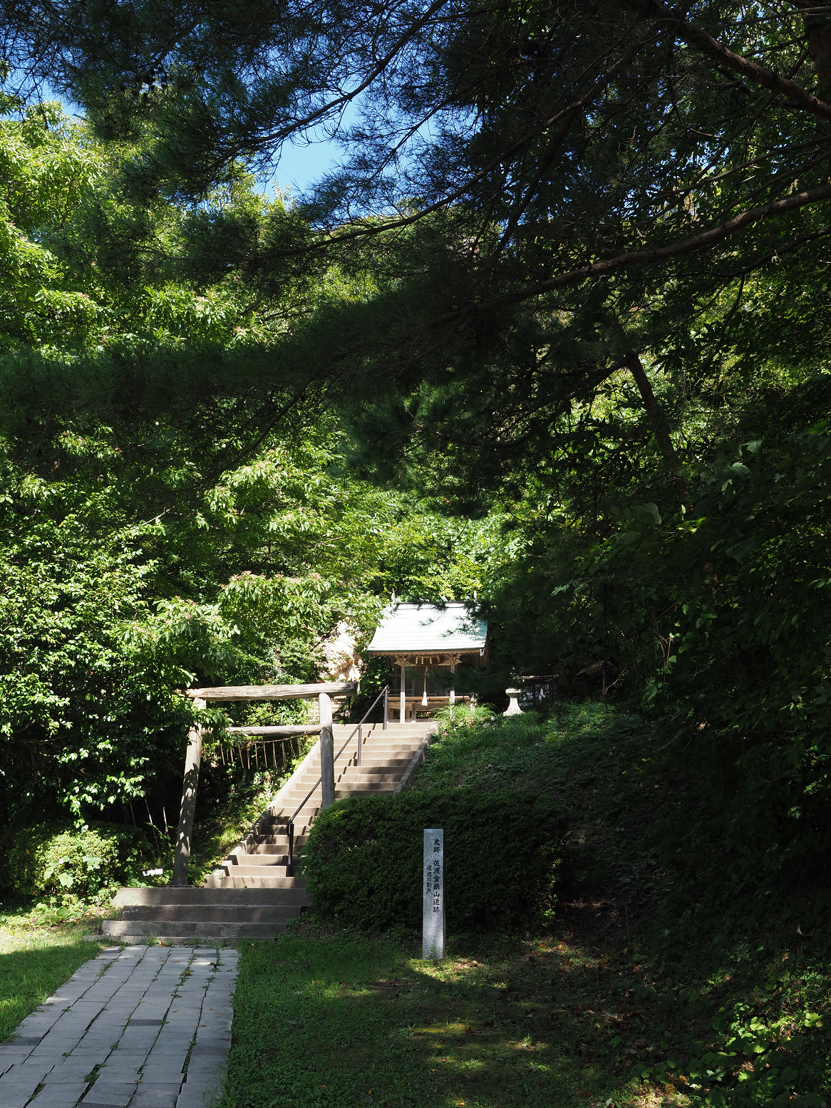 P9191850.jpg