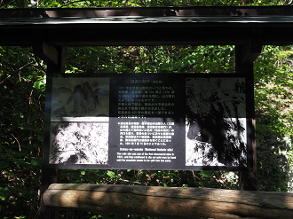 P9191851_thumb.png