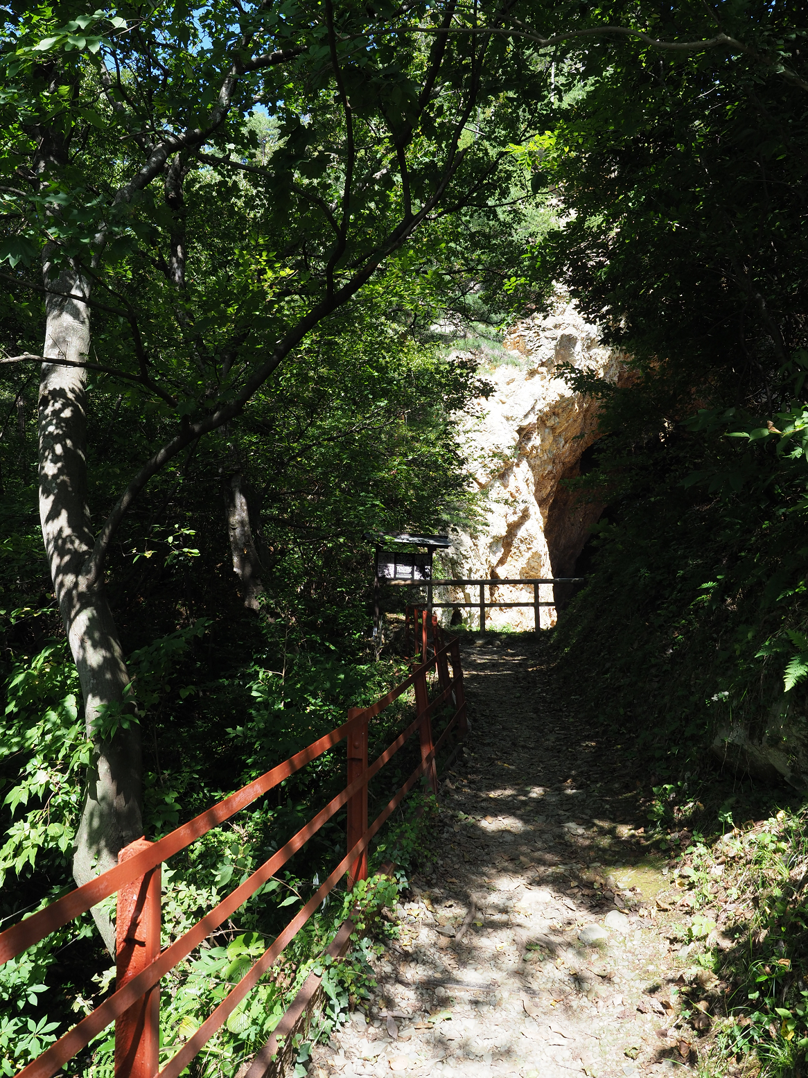 P9191862.jpg