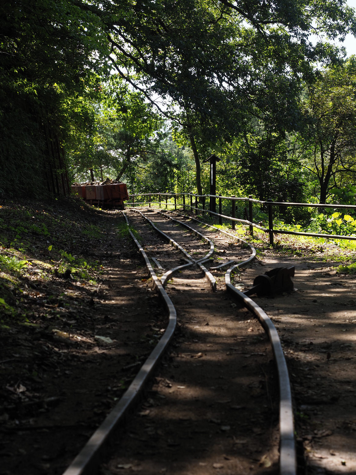 P9191873.jpg
