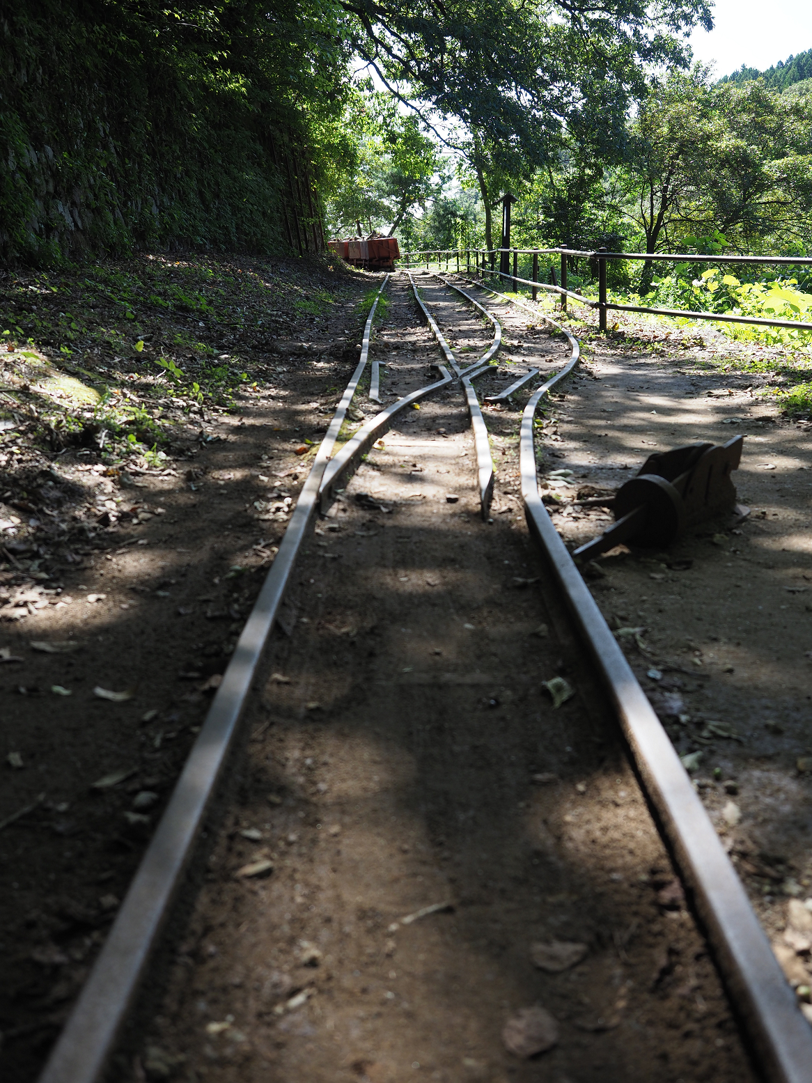 P9191875.jpg