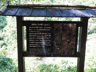 P9191887_thumb.png