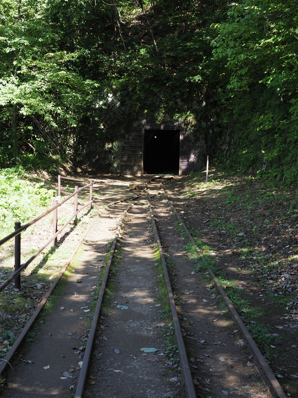 P9191888.jpg