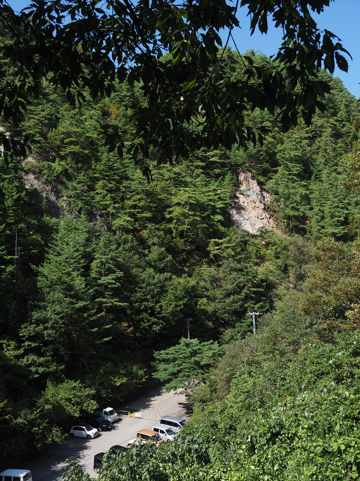 P9191889.jpg
