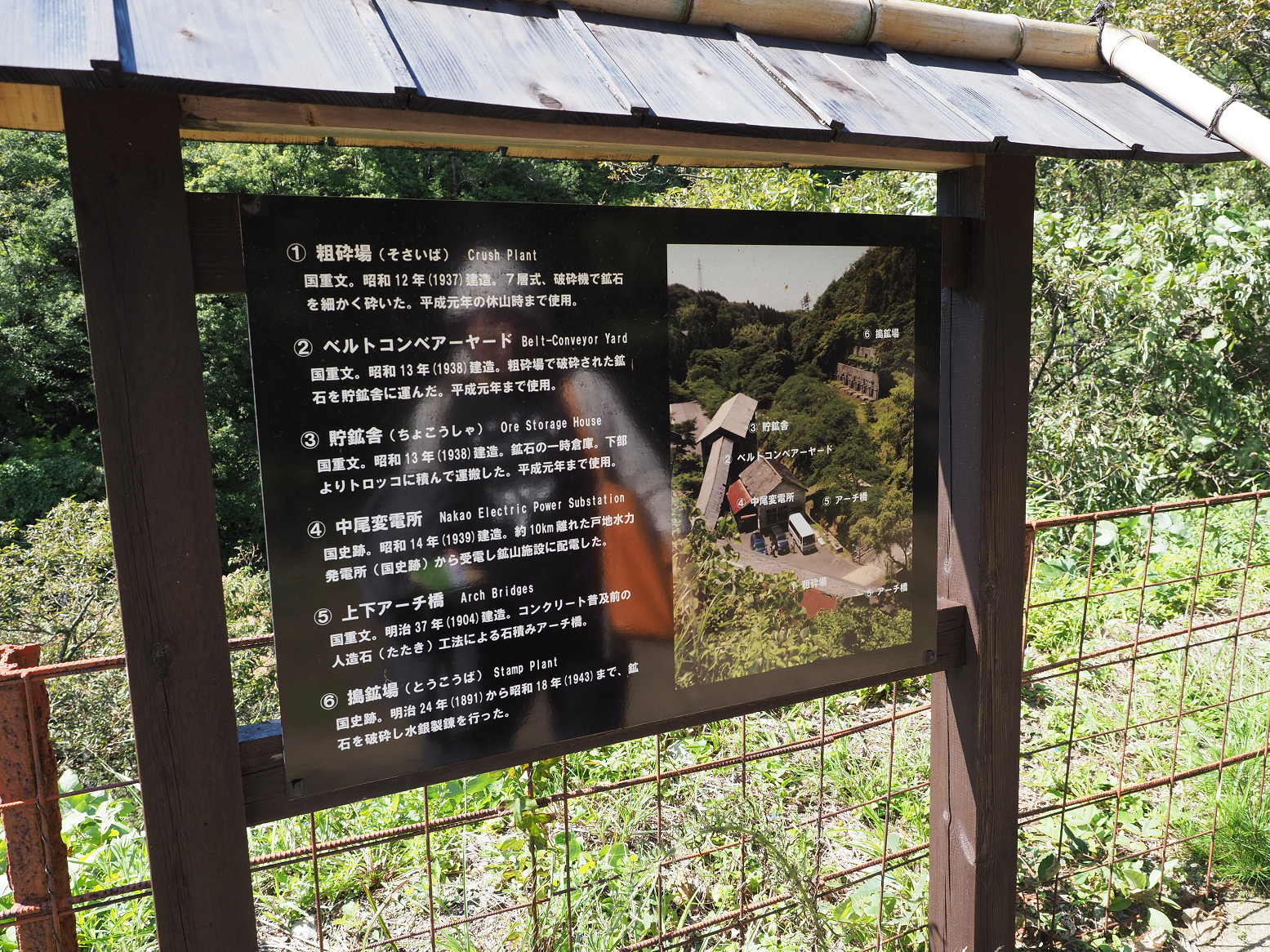 P9191909.jpg