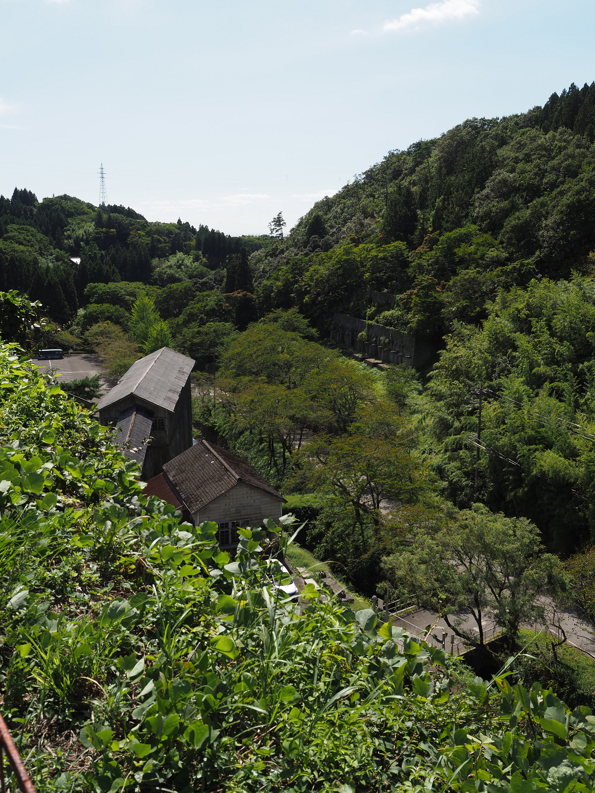 P9191911.jpg