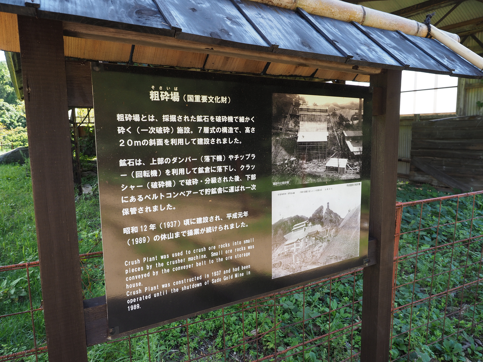 P9191919.jpg