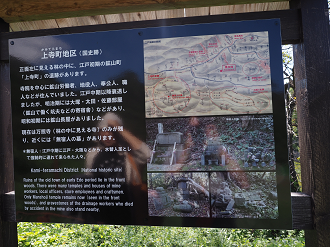 P9191921_thumb.png