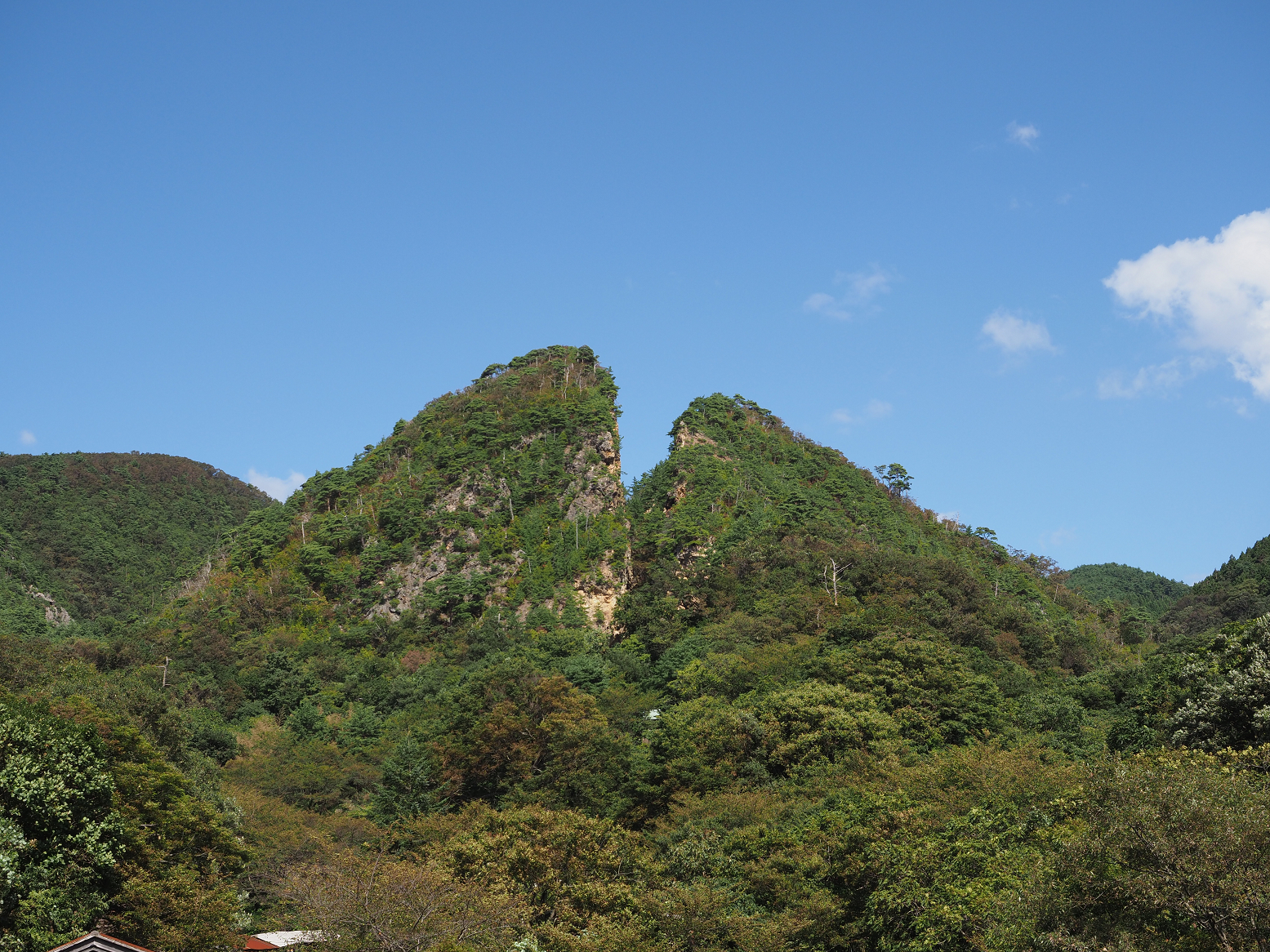 P9191923.jpg