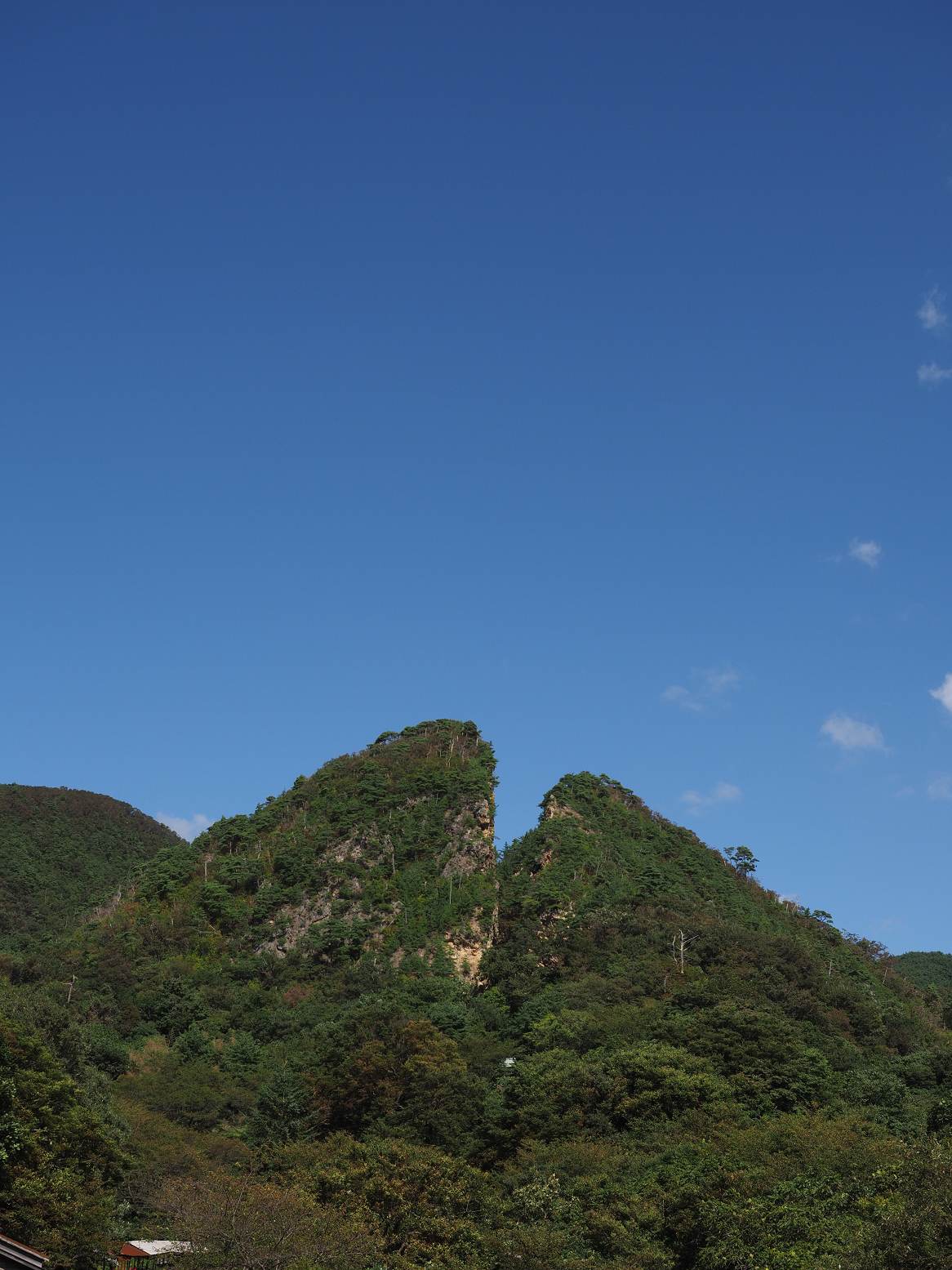 P9191924.jpg