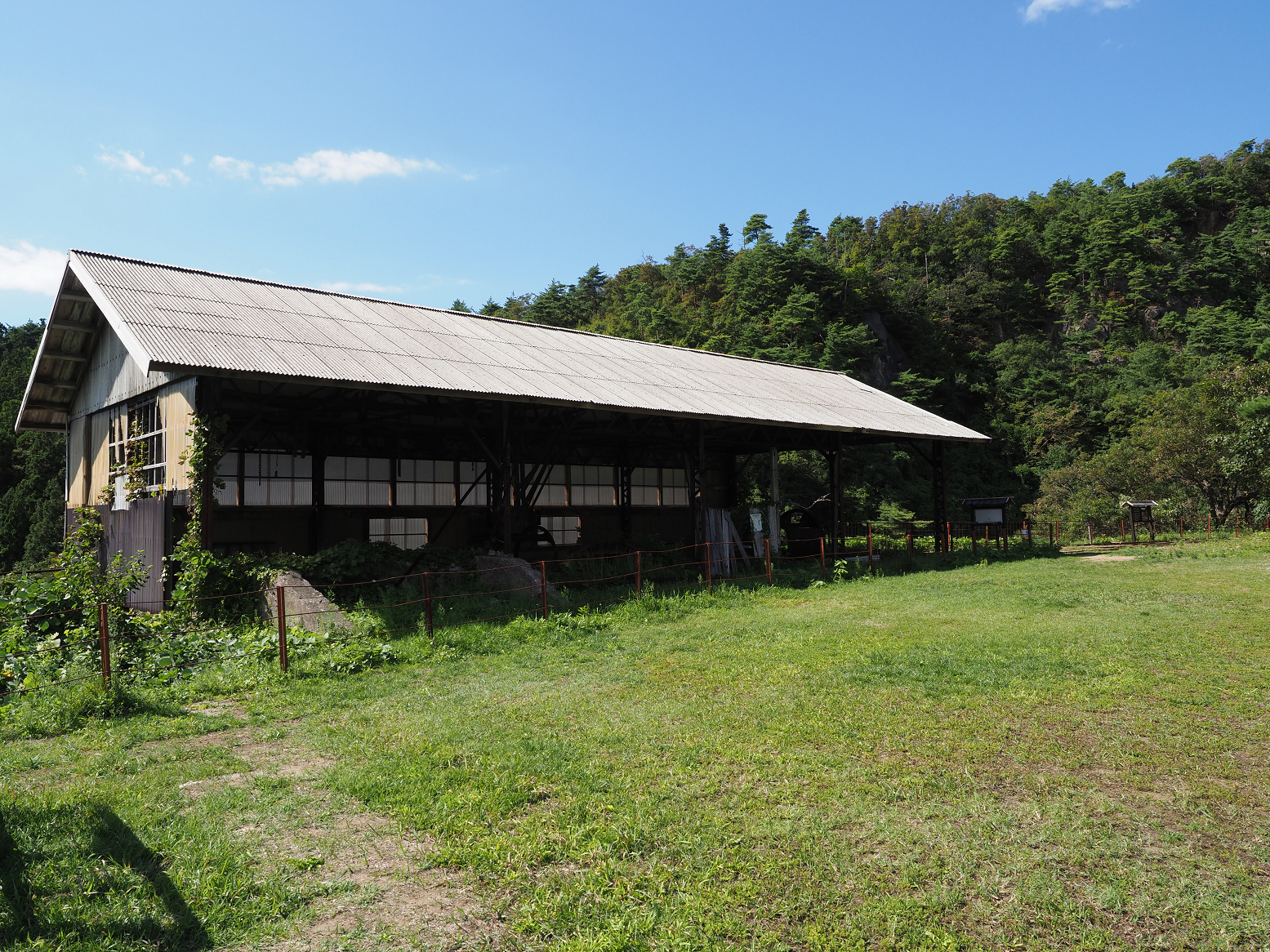P9191926.jpg
