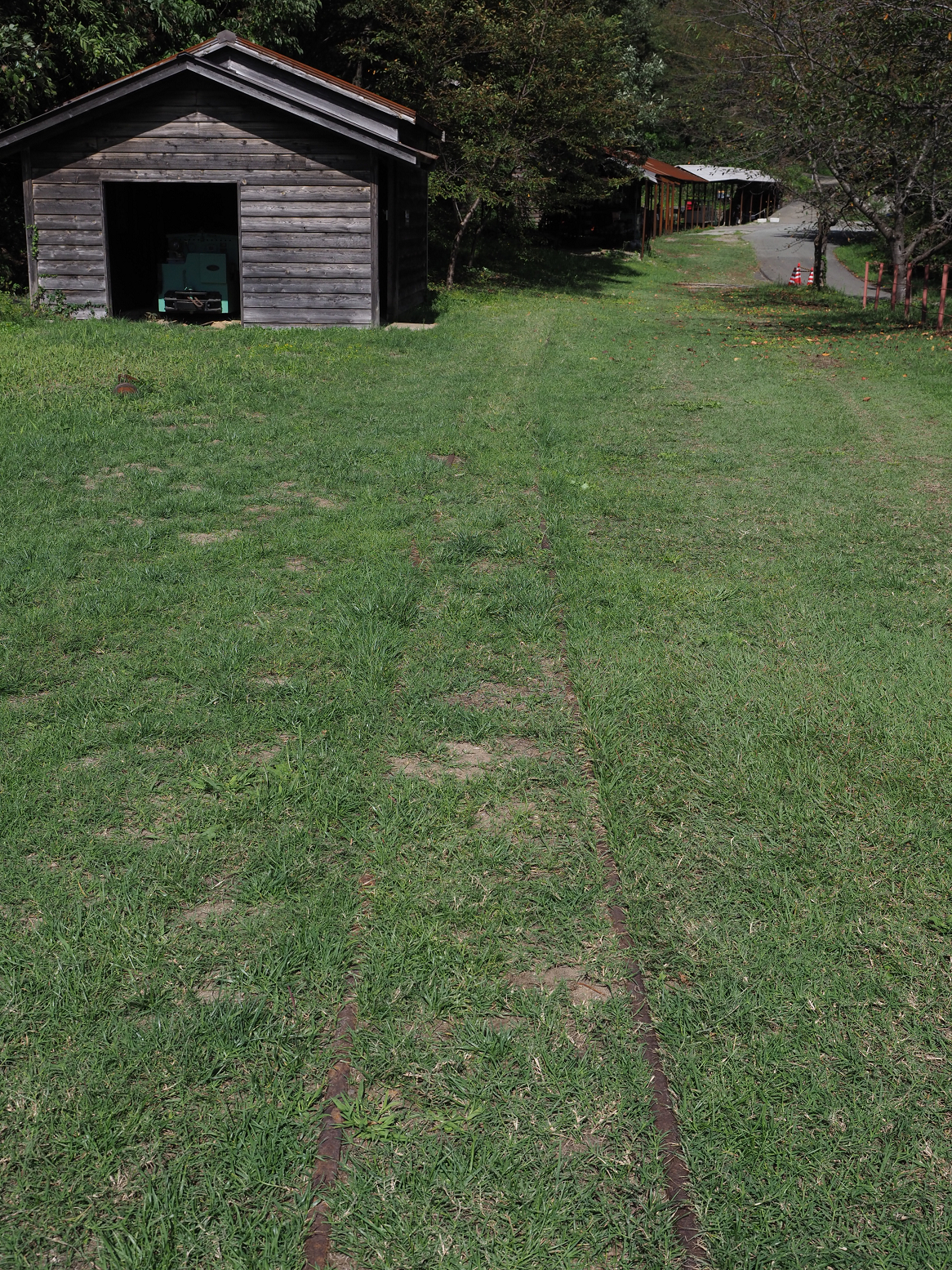 P9191929.jpg