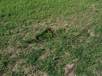 P9191933_thumb.png