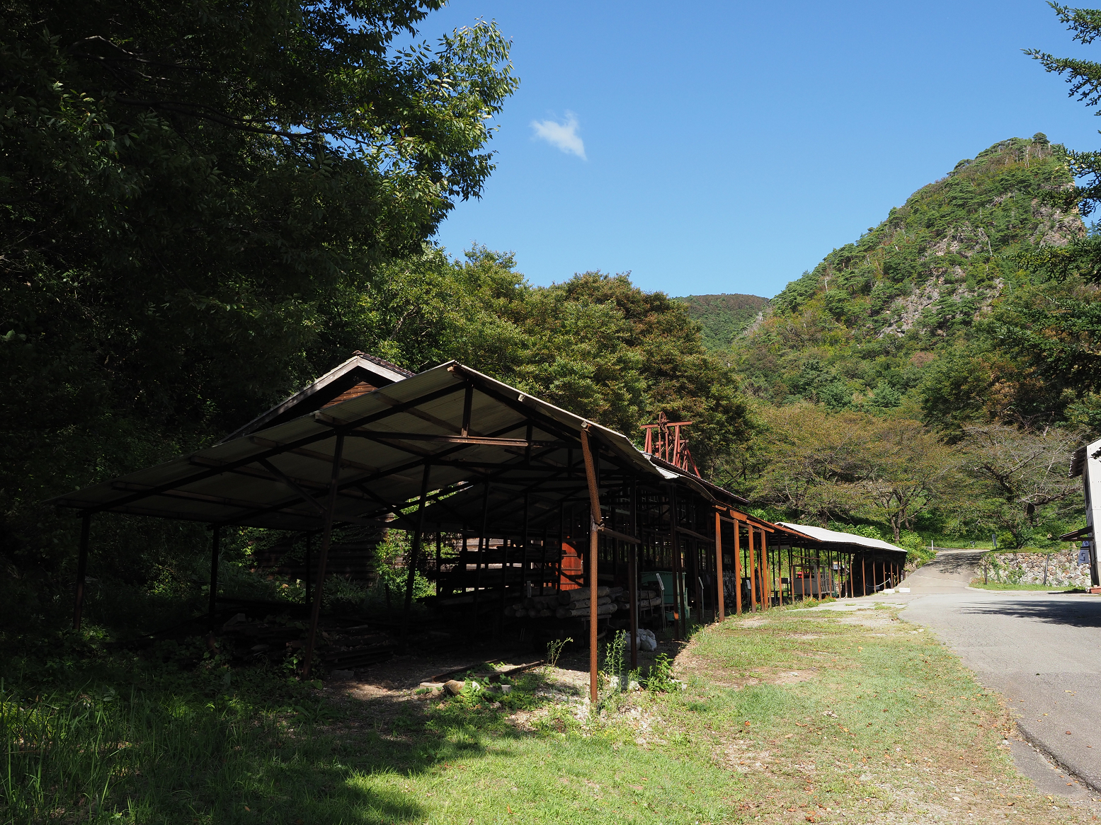 P9191939.jpg