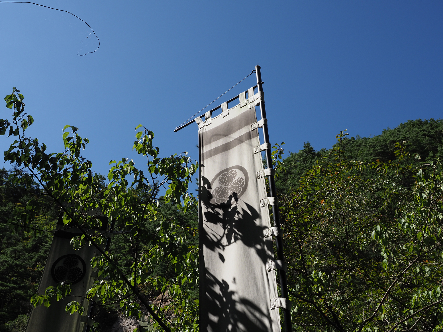 P9191959.jpg