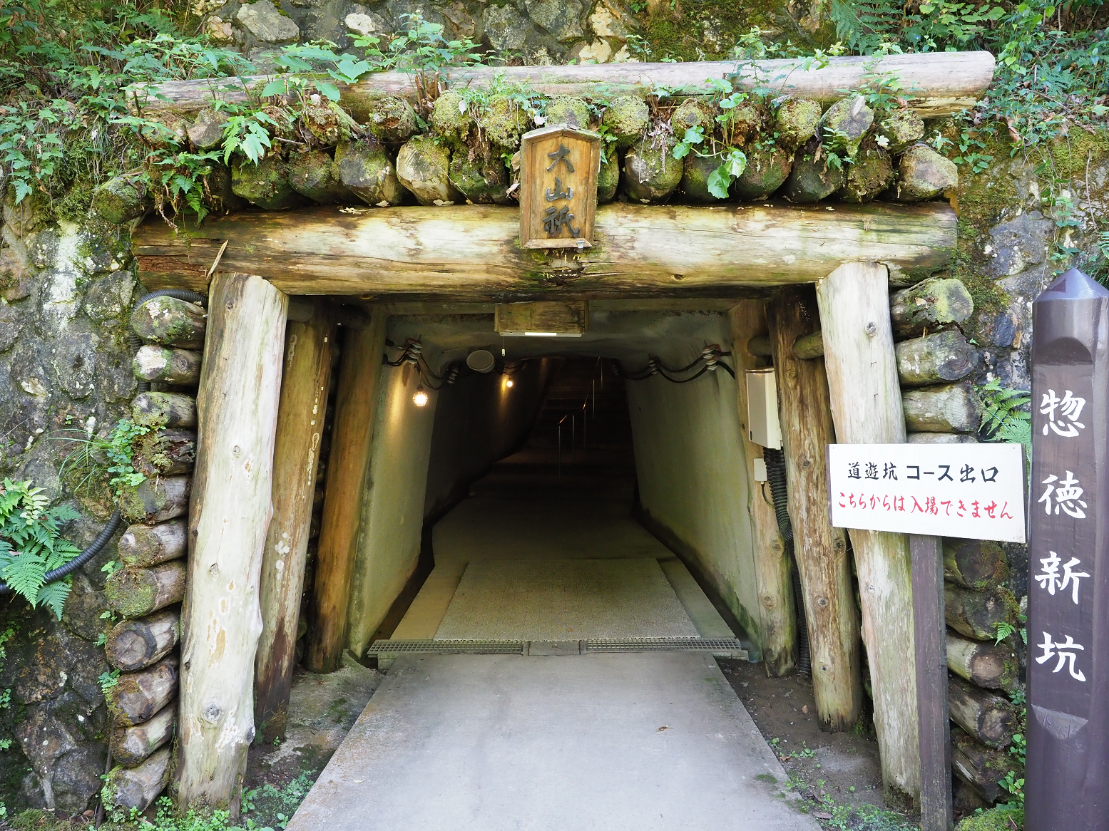 P9191960.jpg
