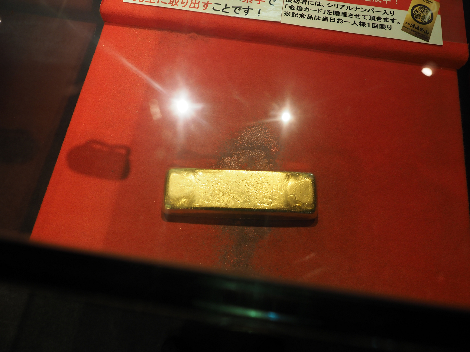 P9191971.jpg
