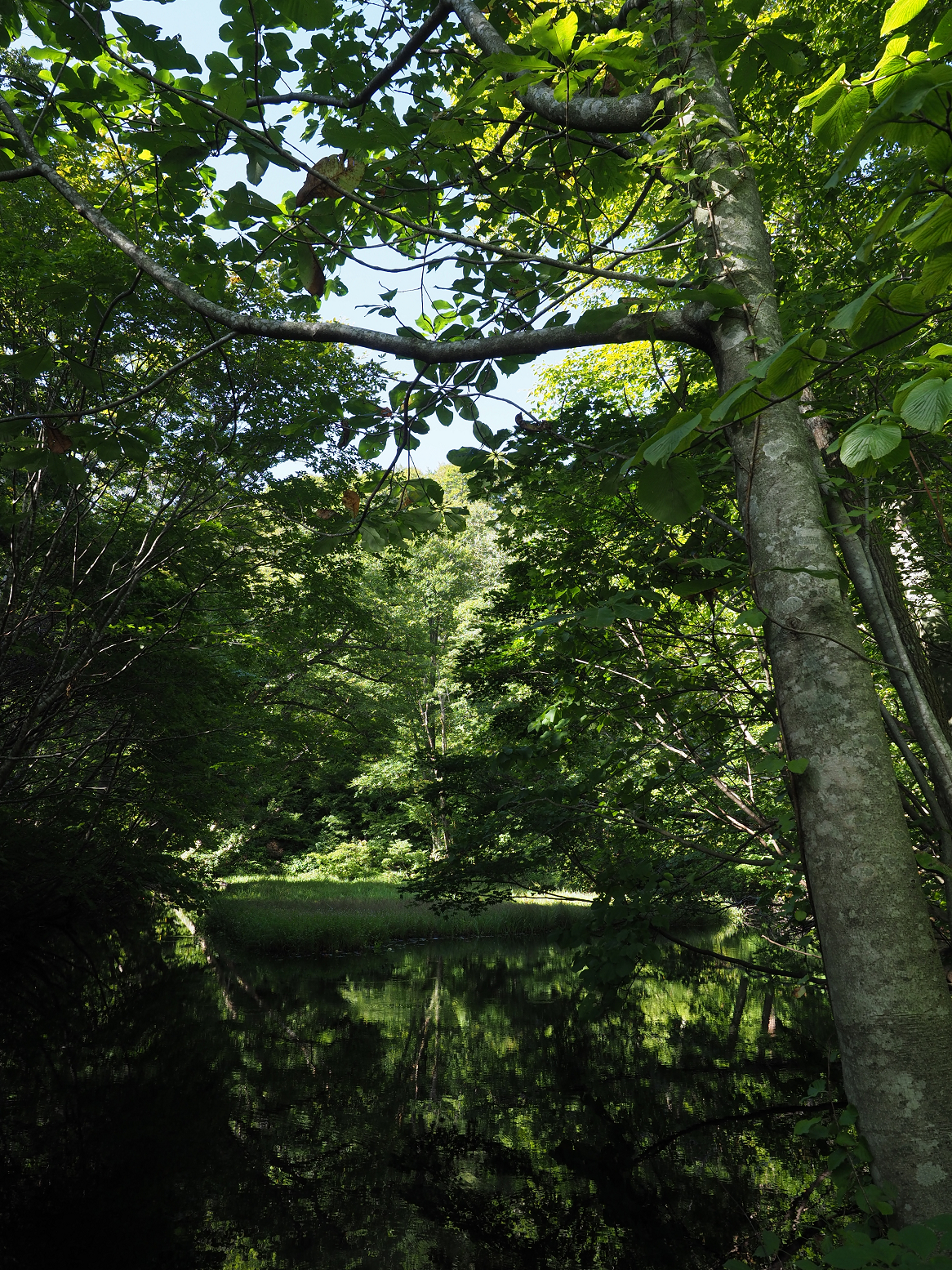 P9192043.jpg